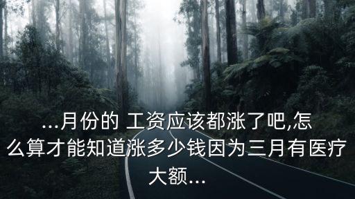 ...月份的 工資應(yīng)該都漲了吧,怎么算才能知道漲多少錢因為三月有醫(yī)療大額...