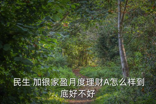 民生加銀基金收益多少,民生磐石基金收益怎樣