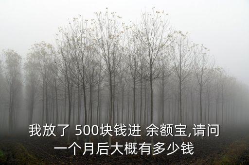 我放了 500塊錢進(jìn) 余額寶,請問一個月后大概有多少錢