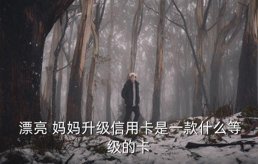  漂亮 媽媽升級信用卡是一款什么等級的卡