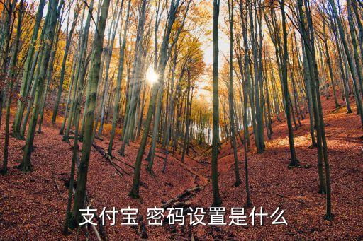 怎么默認支付寶支付密碼是多少錢,支付寶怎么使用密碼支付