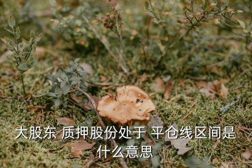 快融寶到了質(zhì)押的多少平倉