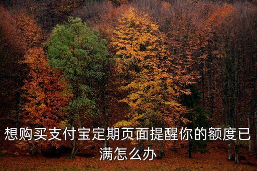 想購買支付寶定期頁面提醒你的額度已滿怎么辦