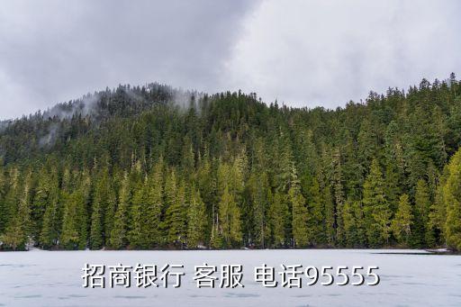 煙臺(tái)招行客服電話是多少錢,煙臺(tái)高速客服電話多少