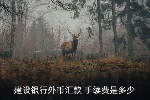 建行卡韓國(guó)取錢(qián)手續(xù)費(fèi)多少錢(qián)