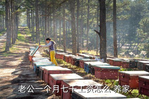 月薪多少可以養(yǎng)家,正常男人月薪多少養(yǎng)家