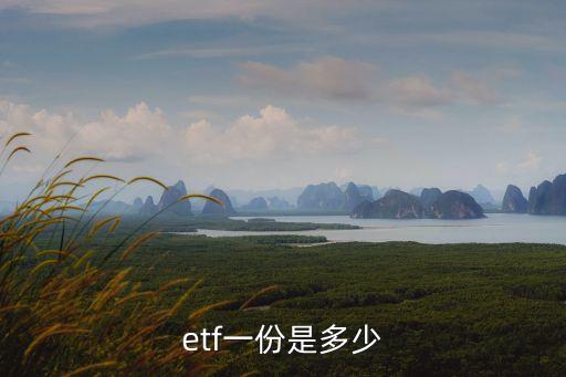買指數(shù)型基金1手是多少股,指數(shù)型基金最少買多少股