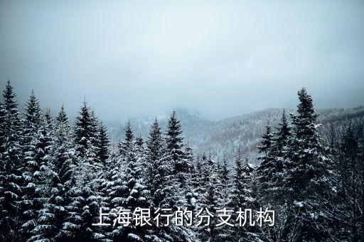 上海銀行科技支行電話是多少