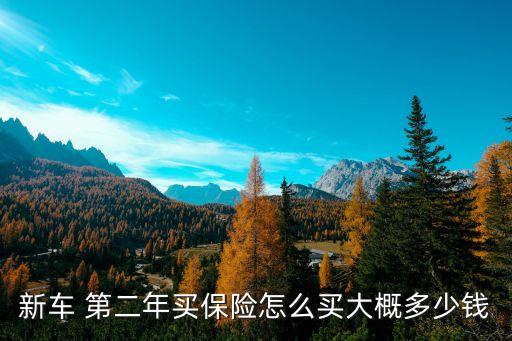 第二年上車險(xiǎn)多少錢,不上車損險(xiǎn)第二年可以再上嗎