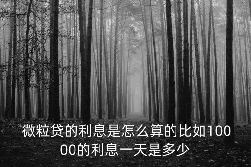 微粒貸借1萬多少手續(xù)費,貸微粒借錢