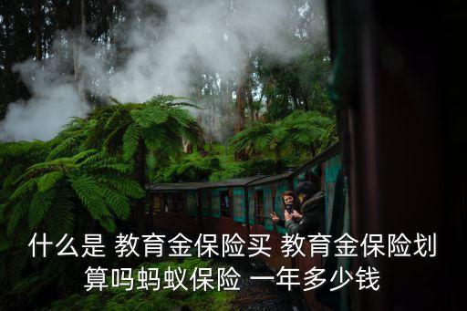 什么是 教育金保險買 教育金保險劃算嗎螞蟻保險 一年多少錢