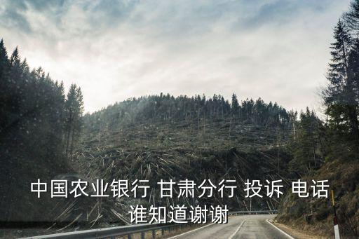 中國農(nóng)業(yè)銀行 甘肅分行 投訴 電話誰知道謝謝