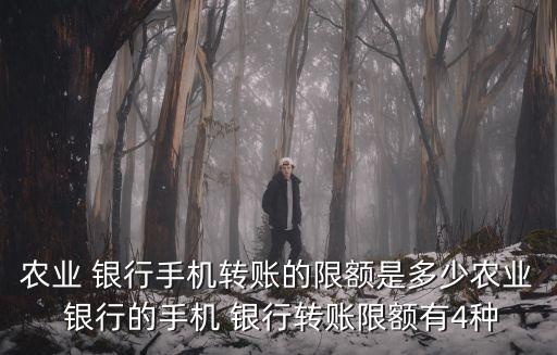 農(nóng)行掌上銀行能轉(zhuǎn)多少,農(nóng)信掌上銀行app下載