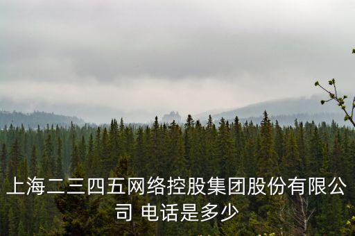 上海二三四五網(wǎng)絡(luò)控股集團(tuán)股份有限公司 電話是多少