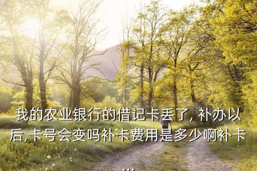 我的農(nóng)業(yè)銀行的借記卡丟了, 補辦以后,卡號會變嗎補卡費用是多少啊補卡...
