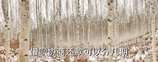 借唄協(xié)商還款可以分幾期