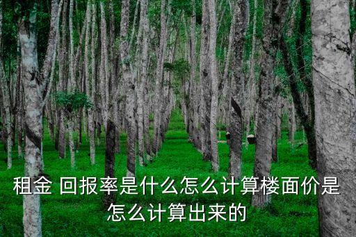 租房回報(bào)率多少合適,租房的回報(bào)率怎么算的