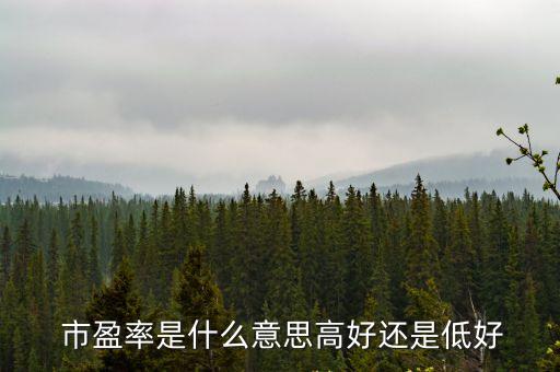 市盈率在多少合適,新股發(fā)行市盈率多少合適