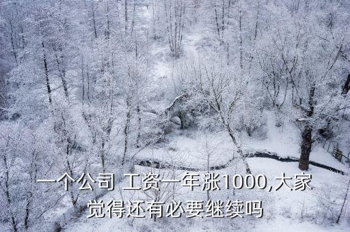 一個(gè)公司 工資一年漲1000,大家覺得還有必要繼續(xù)嗎