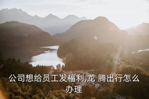 龍騰出行卡多少錢
