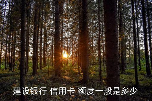 建行車貸卡信用卡額度多少錢,建行信用卡車貸提前還款流程