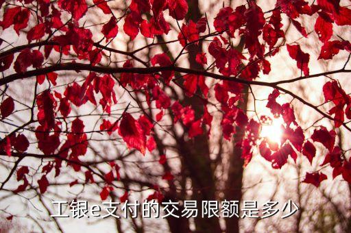 工商銀行能超限多少錢