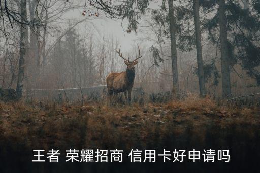 王者榮耀信用卡批多少,交通銀行王者榮耀信用卡年費