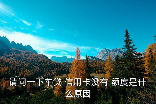 請問一下車貸 信用卡沒有 額度是什么原因