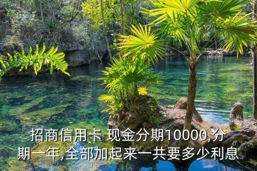 招商信用卡 現(xiàn)金分期10000,分期一年,全部加起來(lái)一共要多少利息