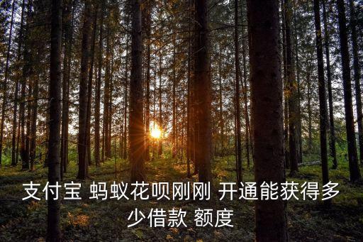 螞蟻借唄首次開(kāi)通有多少額度