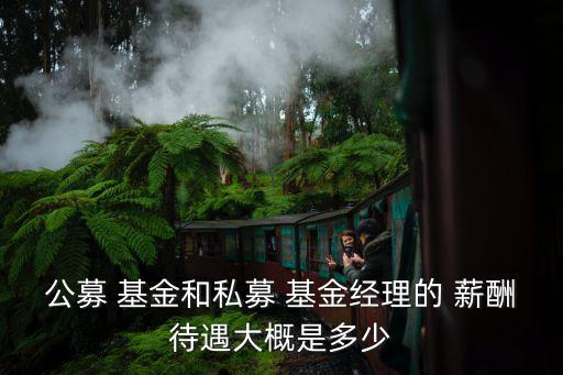 公募 基金和私募 基金經(jīng)理的 薪酬待遇大概是多少