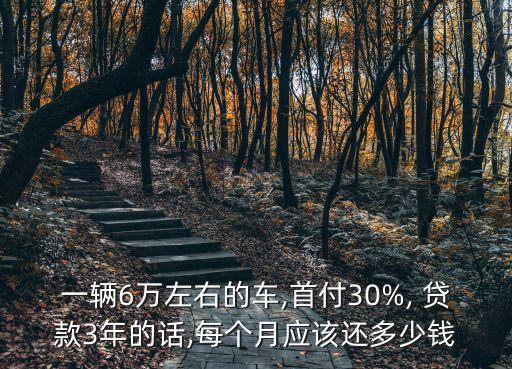 一輛6萬(wàn)左右的車(chē),首付30%, 貸款3年的話,每個(gè)月應(yīng)該還多少錢(qián)