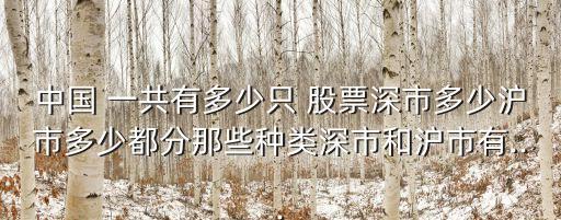 中國 一共有多少只 股票深市多少滬市多少都分那些種類深市和滬市有...