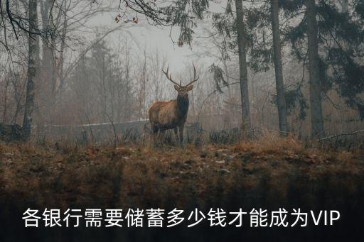 各銀行需要儲蓄多少錢才能成為VIP
