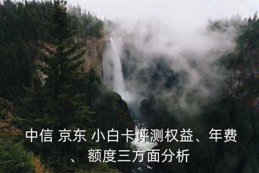 京東中信小白卡 白條額度是多少,京東白條中信小白青春卡