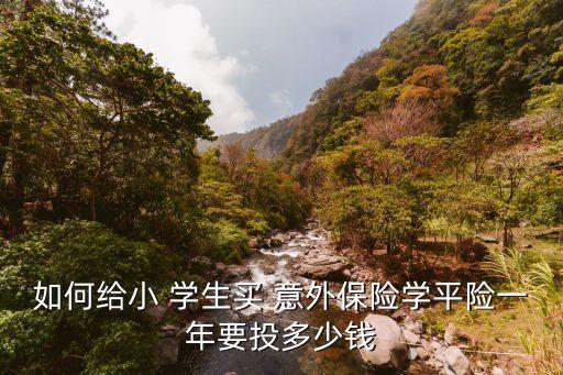 學生意外傷亡險多少錢,常寧學生意外傷亡