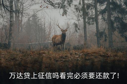  萬達(dá)貸上征信嗎看完必須要還款了!