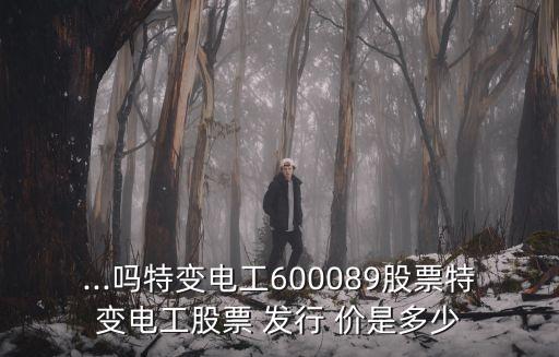 ...嗎特變電工600089股票特變電工股票 發(fā)行 價(jià)是多少