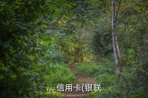 龍卡信用卡新卡額度是多少,龍卡bilibili信用卡額度
