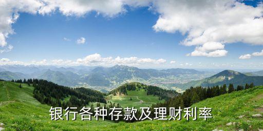 美國(guó)花旗銀行利息多少錢(qián),花旗銀行100萬(wàn)存款利息