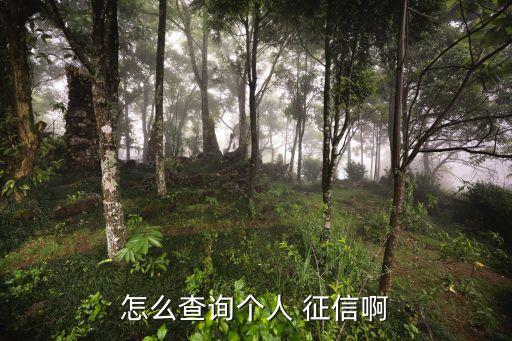 怎么查詢個(gè)人 征信啊