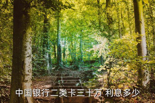 中國(guó)銀行二類卡三十萬(wàn) 利息多少