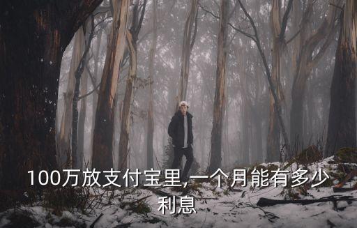 100萬(wàn)放支付寶里,一個(gè)月能有多少利息