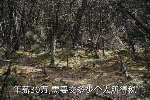 稅后30萬(wàn)工資多少稅,2.2萬(wàn)稅后工資多少