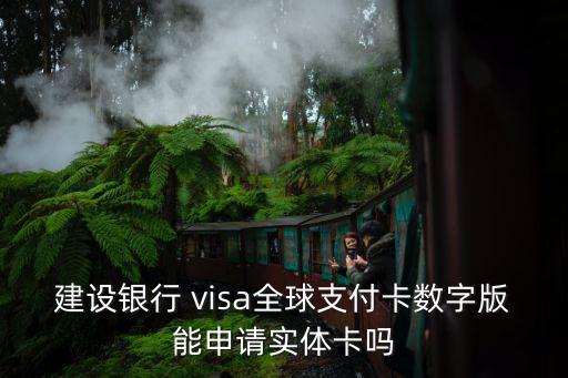建設(shè)銀行 visa全球支付卡數(shù)字版能申請實體卡嗎
