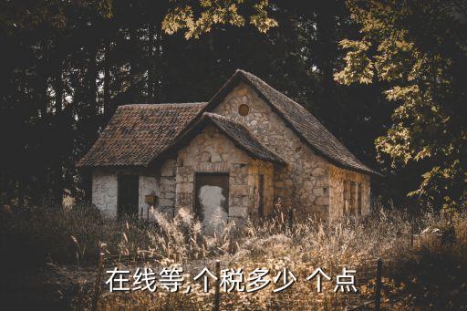 在線等,個稅多少 個點