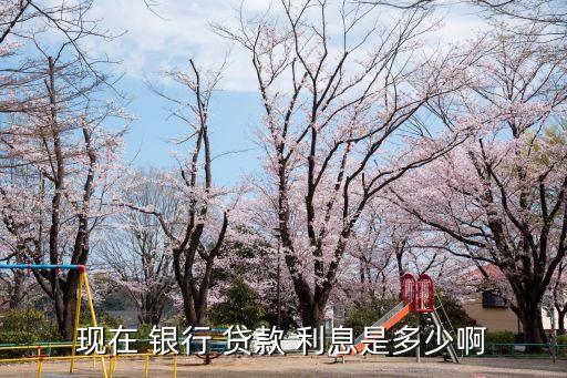 貸款銀行利息是多少,哪個銀行貸款利息最便宜