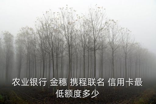 農(nóng)行金穗攜程旅行信用卡額度一般是多少