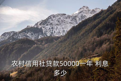 借貸五萬元利息是多少,私人借貸五萬一般多少利息