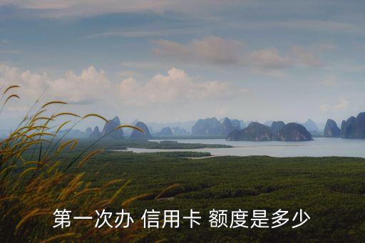 第一次辦 信用卡 額度是多少